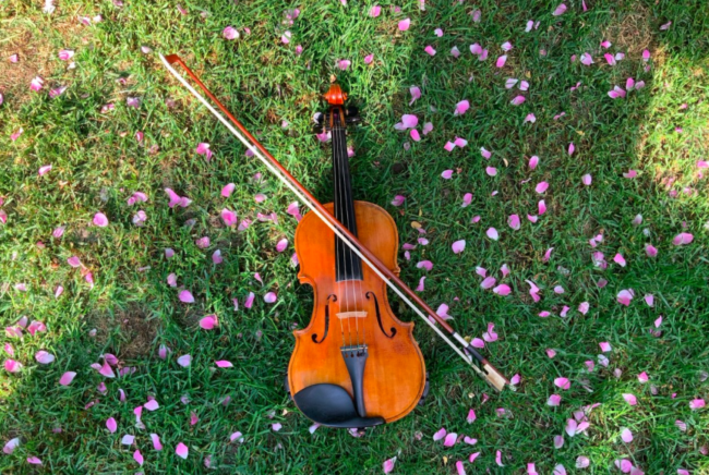 Screen Shot 2020-07-29 at 3.29.40 PM Ottawa Fiddleheads Academy